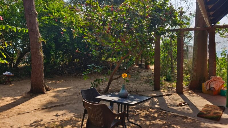 WhatsApp Image 2026-03-17 at 18.11.24