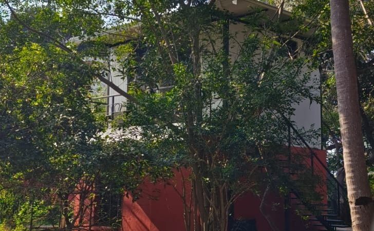 WhatsApp Image 2026-03-21 at 10.09.01 (1)