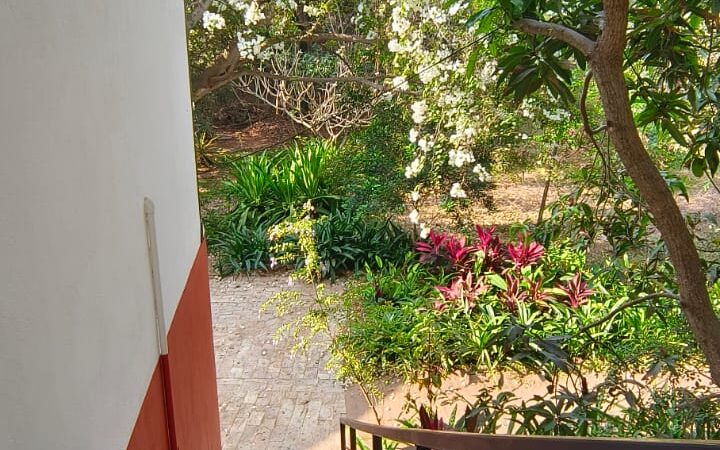 WhatsApp Image 2026-03-21 at 10.09.02 (2)