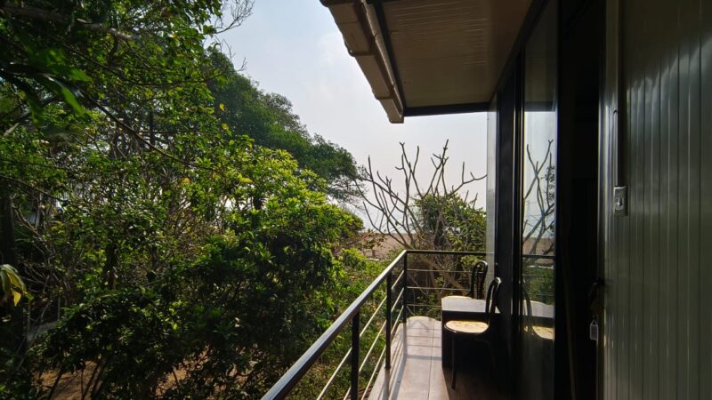 WhatsApp Image 2026-03-21 at 10.09.03 (1)