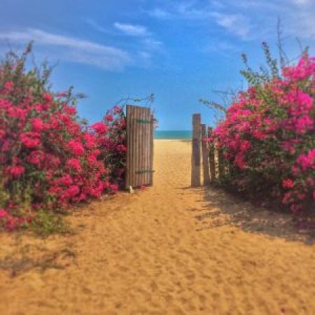 Tanto-Far-Beach-300x300